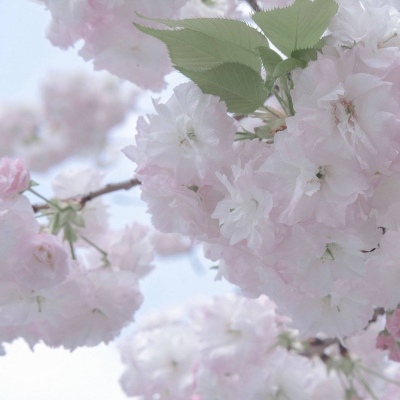 Furry插画光影处理Furry群